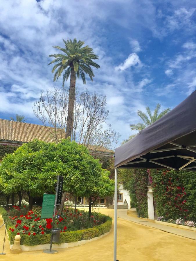 Apartament Dona Maria Coronel *